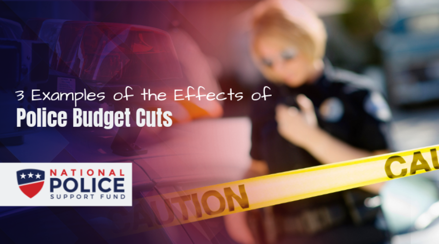 the-effects-of-police-budget-cuts-national-police-support-fund