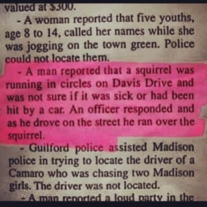Funny Police Blotter Squirrel