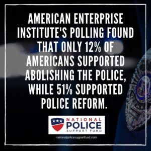 AEI Report - National Police Support Fund