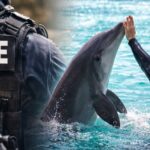 San Diego Police Sergeant_s Dual Role — From SWAT to SeaWorld -Featured Image